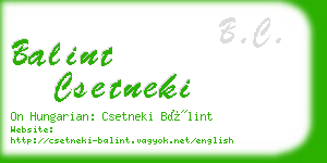 balint csetneki business card